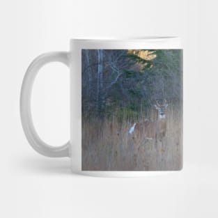 White-tailed Buck Mug